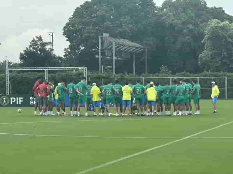 palmeiras
