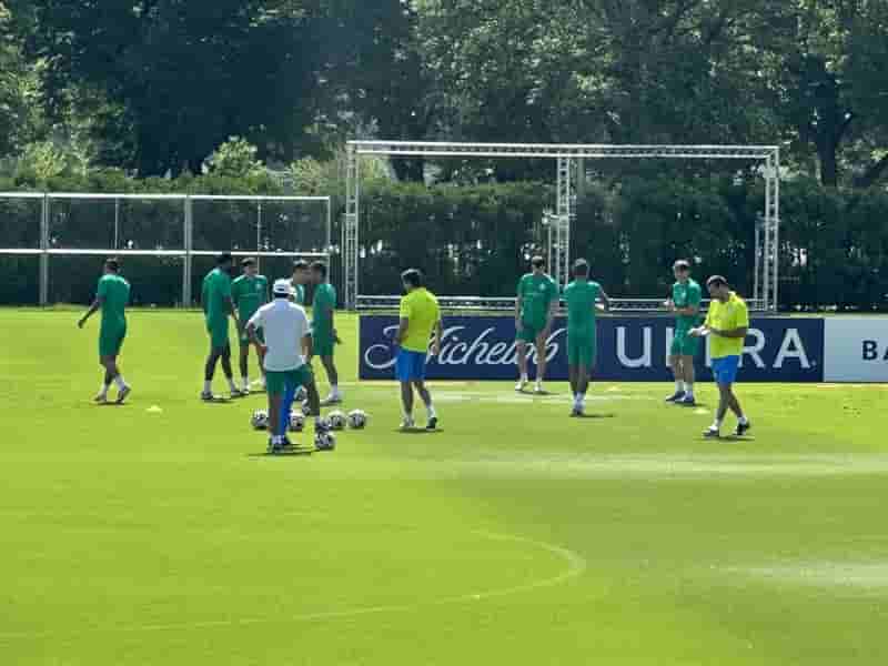 palmeiras