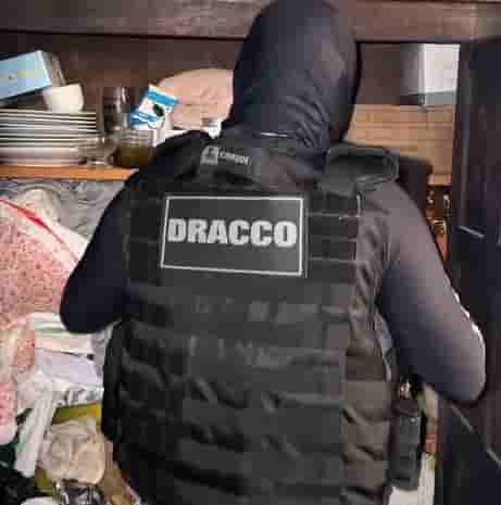 dracco