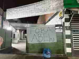 palmeiras