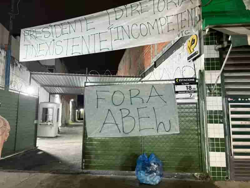 palmeiras