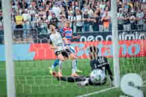 timao
