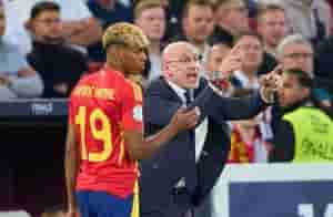 lamine