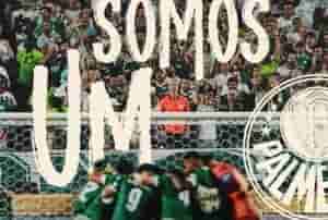 palmeiras
