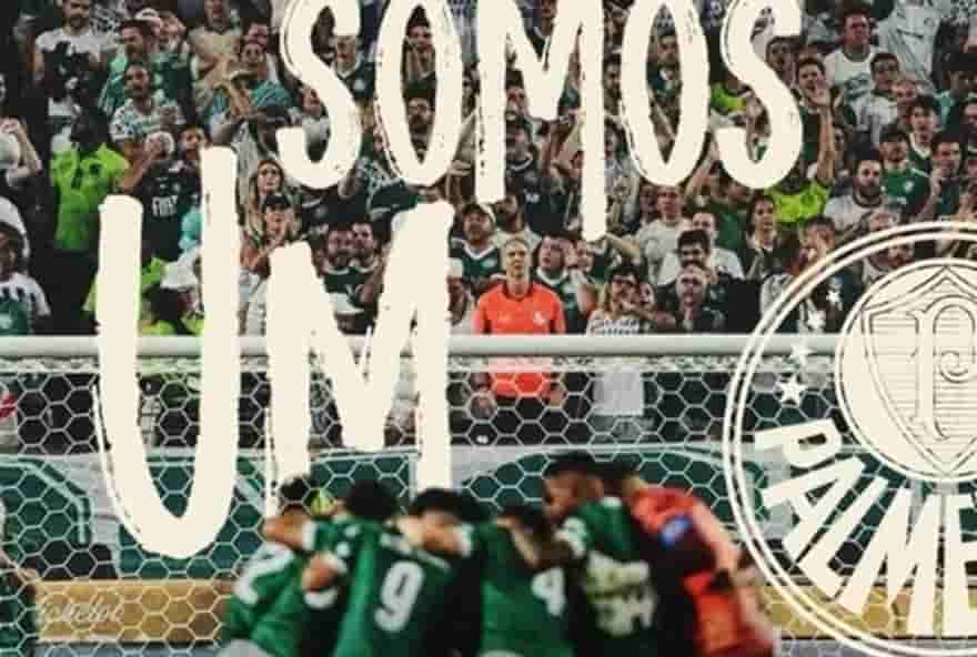 palmeiras