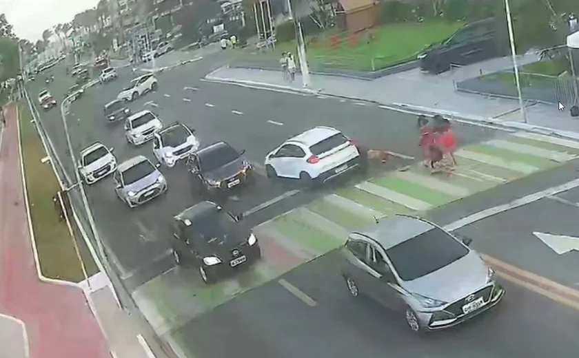 atropelamento