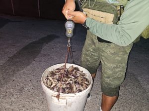 uça