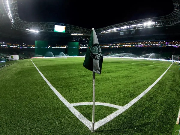 palmeiras