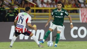 palmeiras