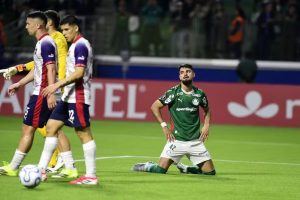 palmeiras