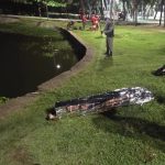 Corpo de homem é encontrado boiando na Lagoa da Anta, em Maceió