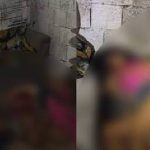Três pessoas são mortas a tiros dentro de casa em Mata Grande-AL