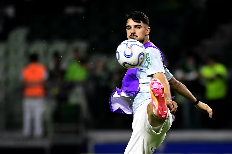 palmeiras