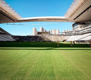 timao